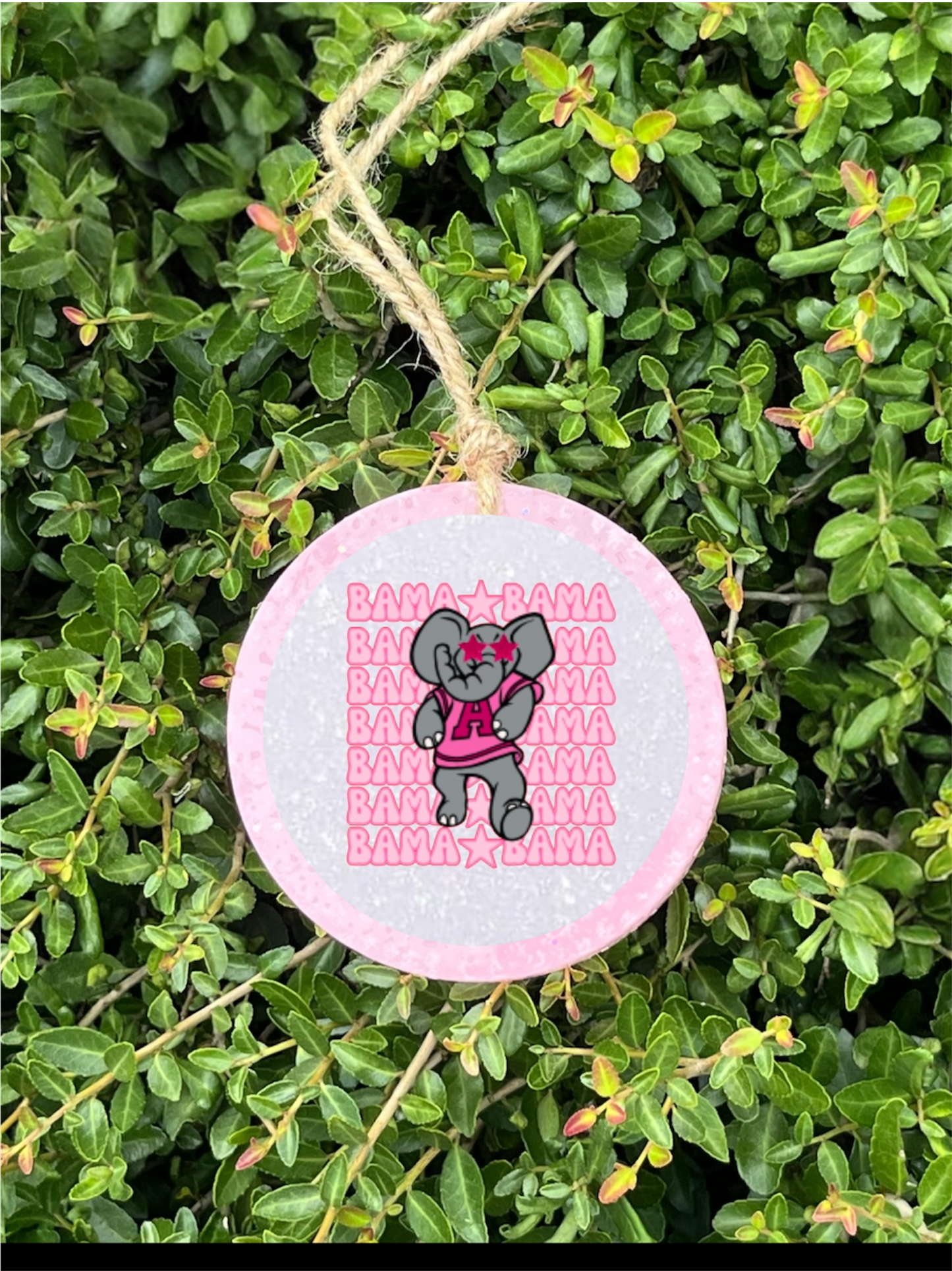 Preppy Pink Big Al Freshie