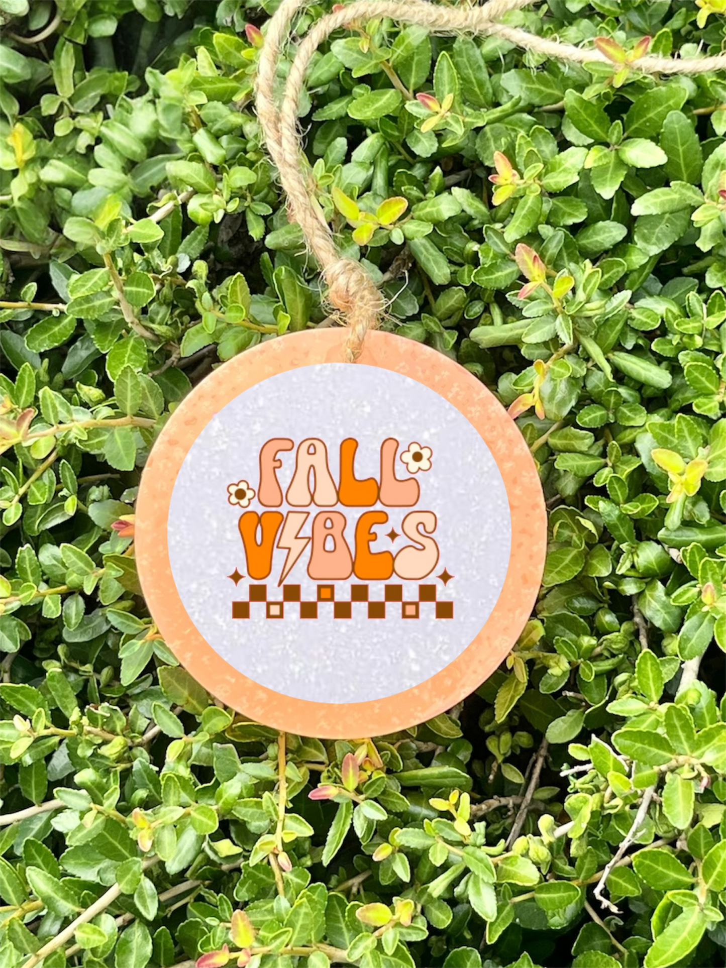 Retro Fall Vibes Freshie