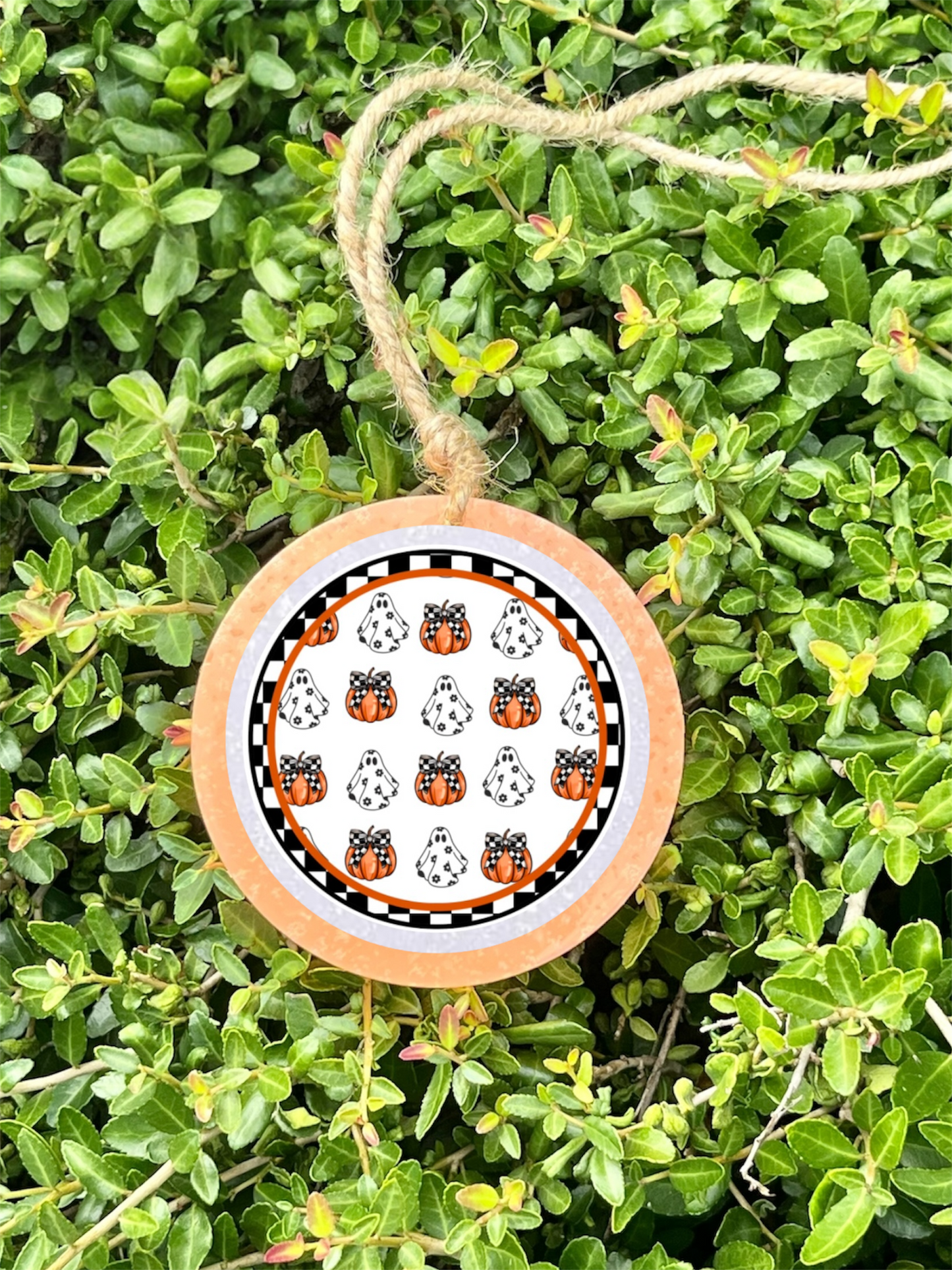 Pumpkin & Ghost Check Freshie