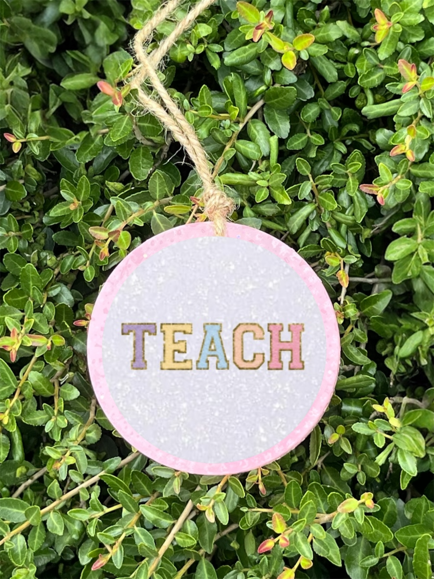 Pastel Teacher Freshie