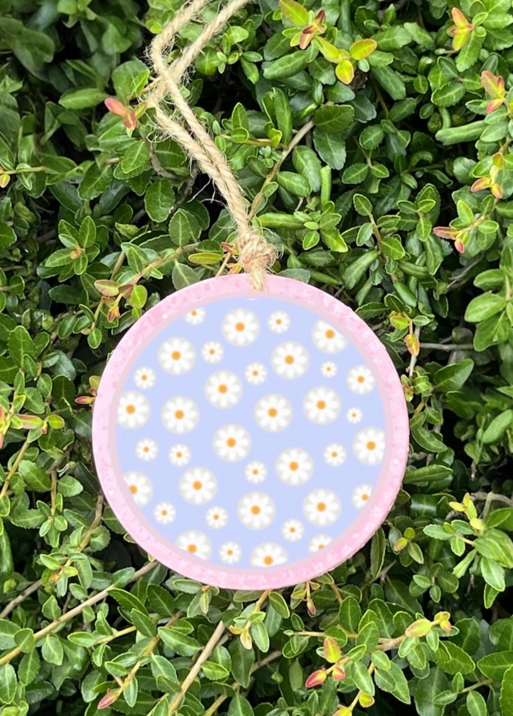 Baby Blue Daisy Freshie