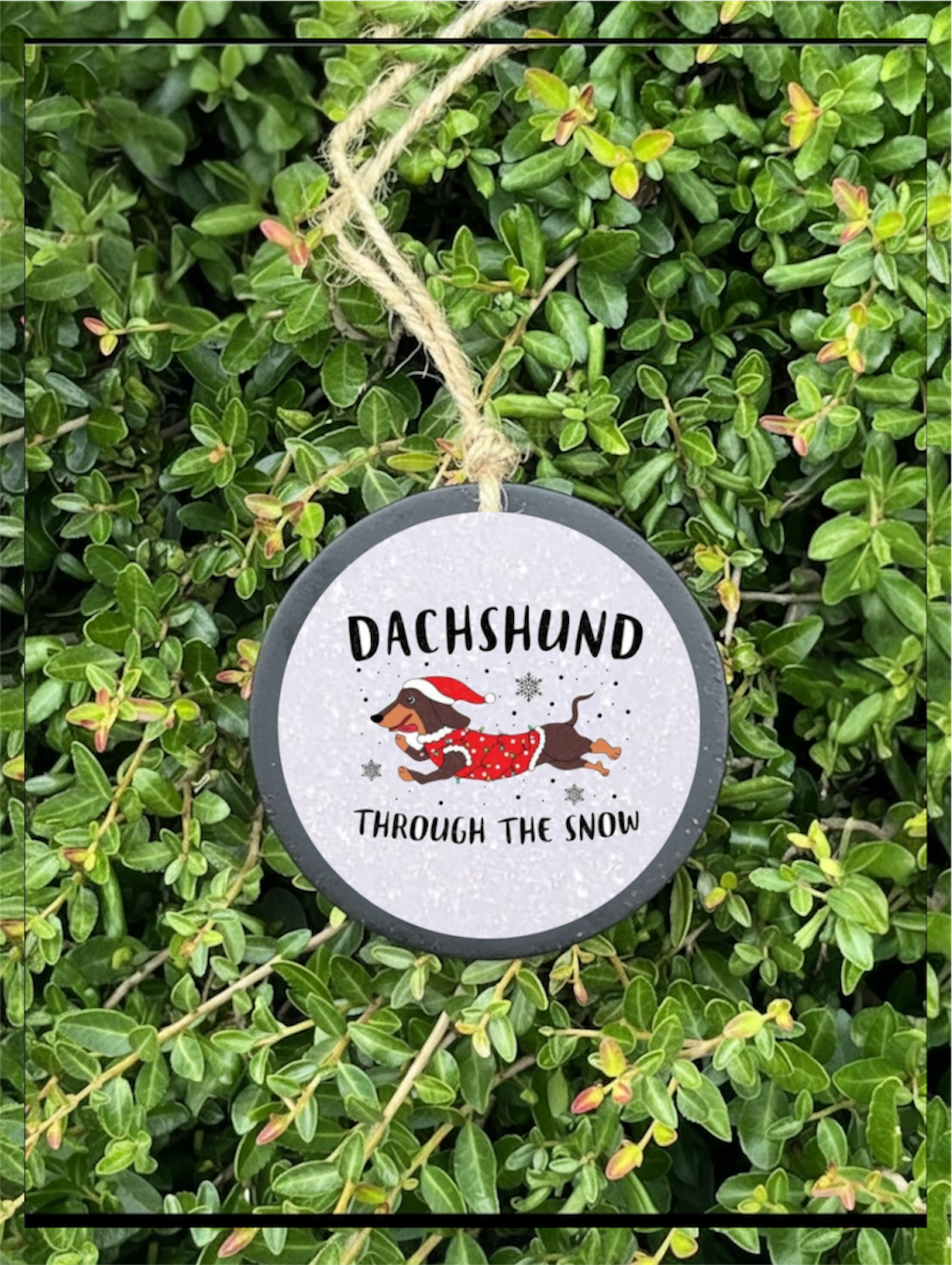 Dashund Through The Snow Freshie